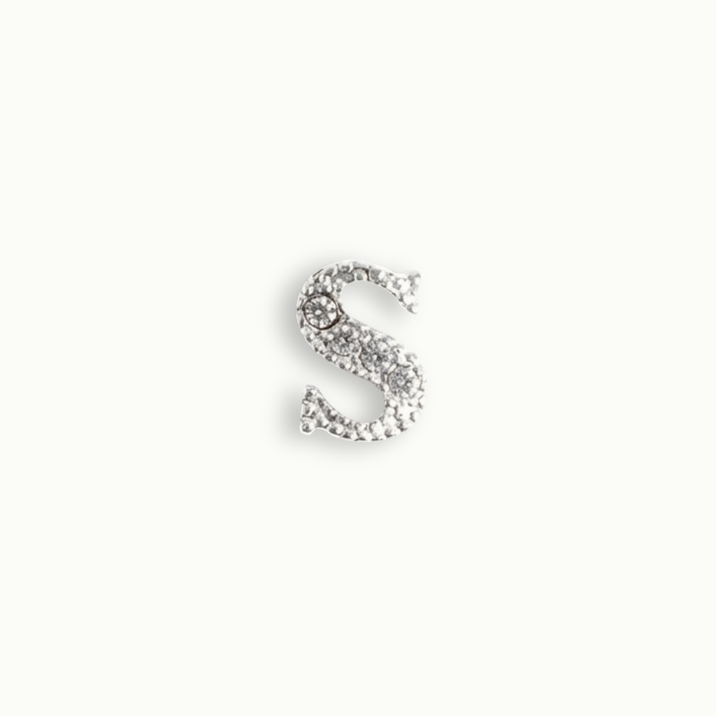 Crystal Letter S Charm