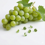 August Peridot Green Birthstone Set