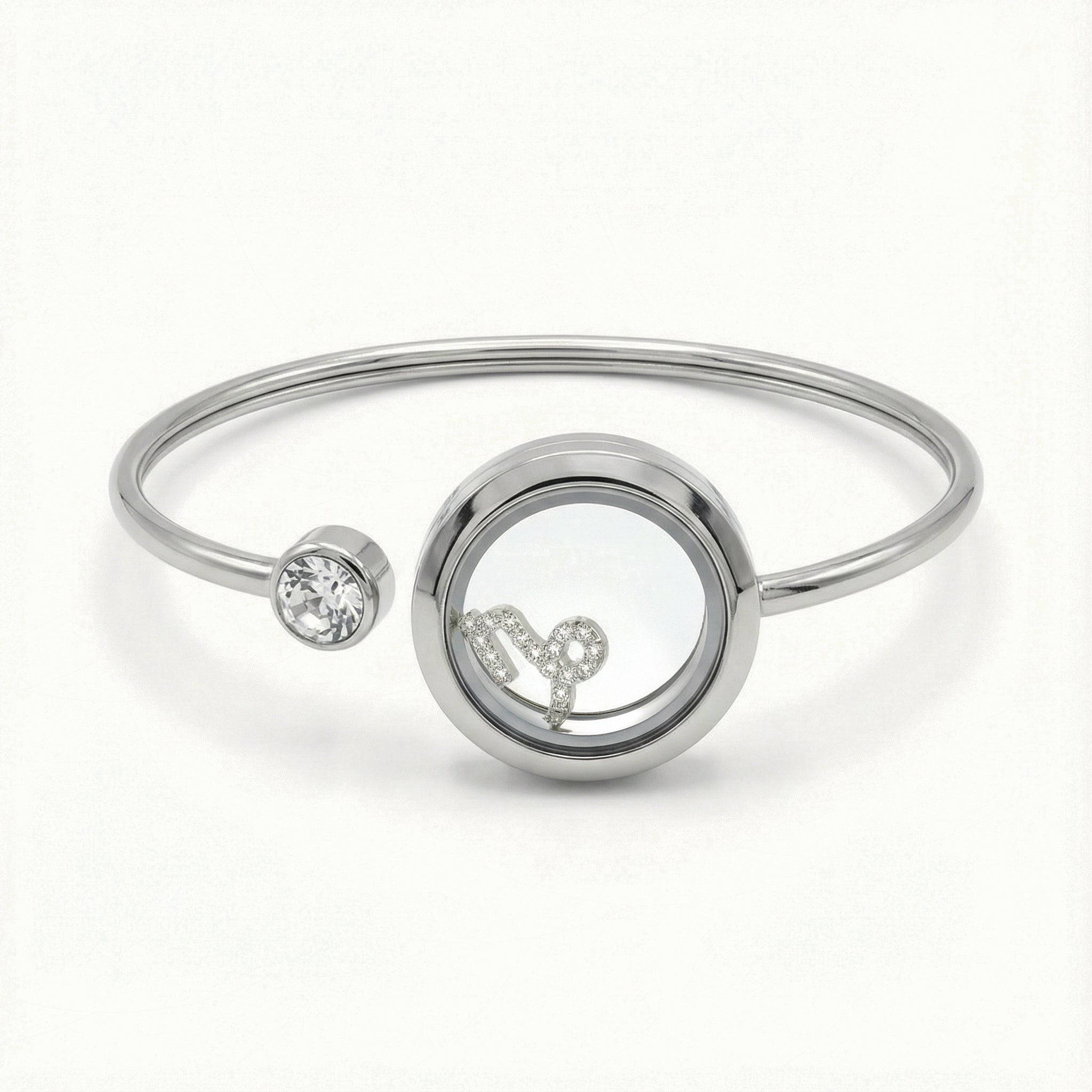 Silver Crystal Capricorn Charm