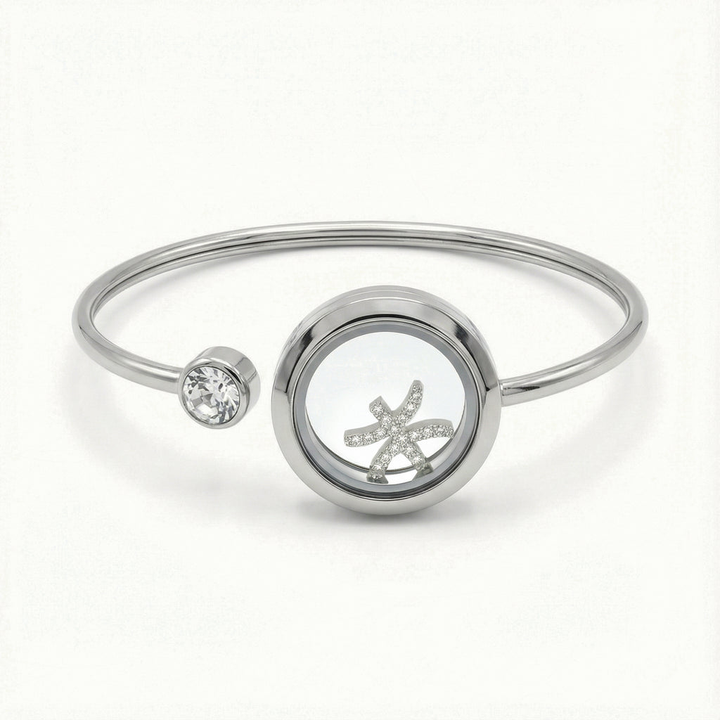 Silver Crystal Pisces Charm