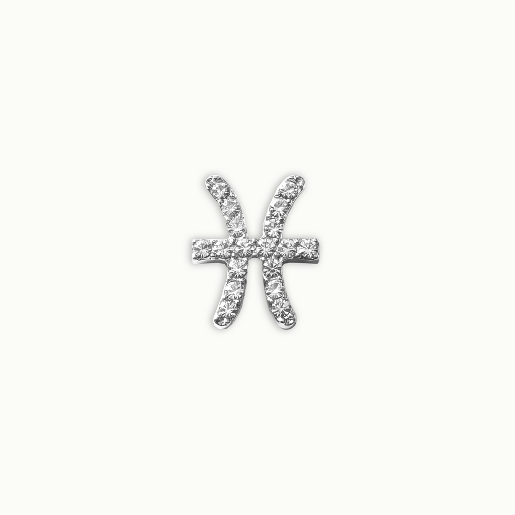 Silver Crystal Pisces Charm