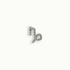 Silver Crystal Capricorn Charm